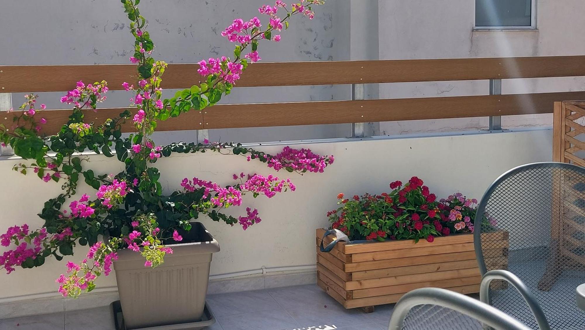 The Blue Apartment In The Heart Of Heraklion Exteriör bild